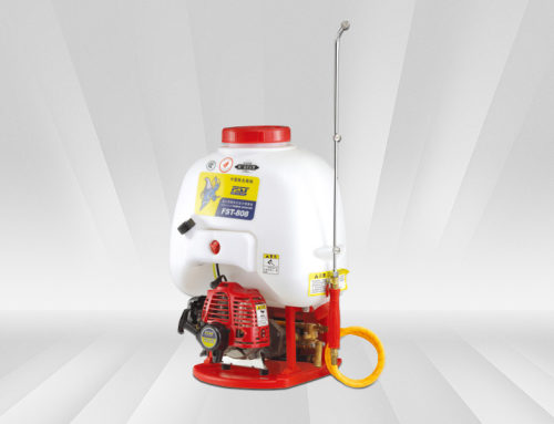 Power Sprayer FST-808